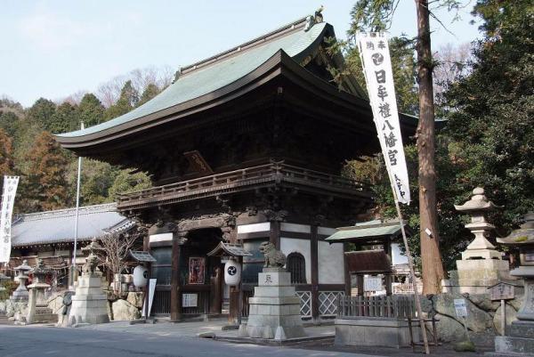 https://www.db.kansai-maas.jp/image/photos/69b91cc8-8560-402a-9b6f-9767809a75e8.jpg