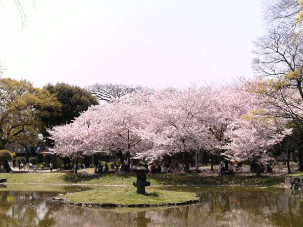 https://www.db.kansai-maas.jp/image/photos/69c819b0-de3c-428f-ae0a-169ca7cc3061.jpg
