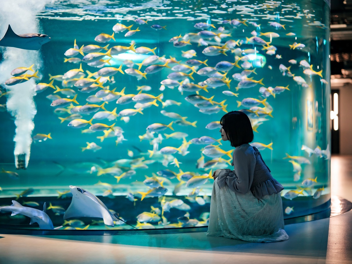 https://www.db.kansai-maas.jp/image/photos/69d5ade4-880a-492a-a728-9c38afce623d.jpg