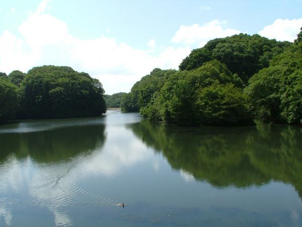 https://www.db.kansai-maas.jp/image/photos/6a8d22d7-35e7-4b64-8c16-f51f6709f3d6.jpg