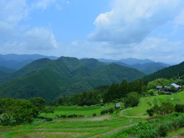 https://www.db.kansai-maas.jp/image/photos/6b10876e-b81a-45f9-9fe0-0e04bfe70133.jpg
