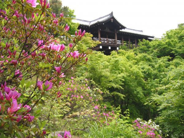 https://www.db.kansai-maas.jp/image/photos/6b3cc539-2675-4c38-8c5a-9a90fd447c5d.jpg