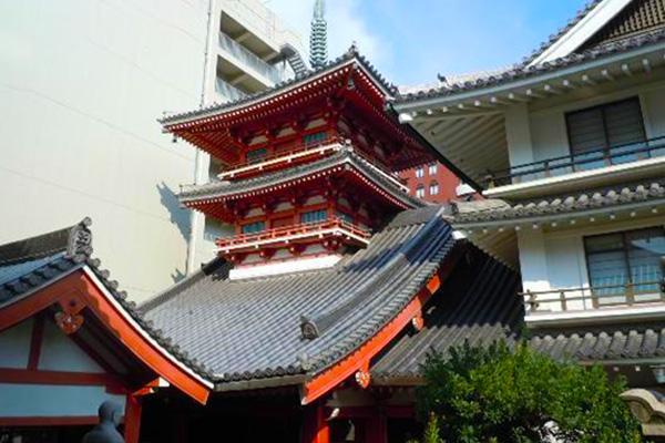 https://www.db.kansai-maas.jp/image/photos/6c766868-8b2f-4adb-88a1-d64e6532ce43.jpg