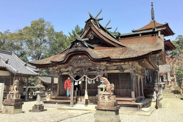 https://www.db.kansai-maas.jp/image/photos/6db87908-3db3-4735-8a21-759370c22a64.jpg