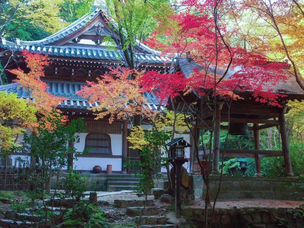 https://www.db.kansai-maas.jp/image/photos/6e1e84c4-f5ce-473e-8c37-89fa9686a315.jpg