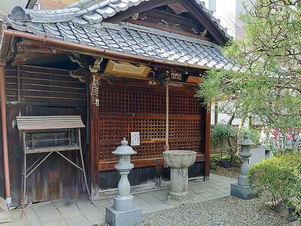 https://www.db.kansai-maas.jp/image/photos/6e38b1eb-69aa-4055-88f7-6c18d3780588.jpg