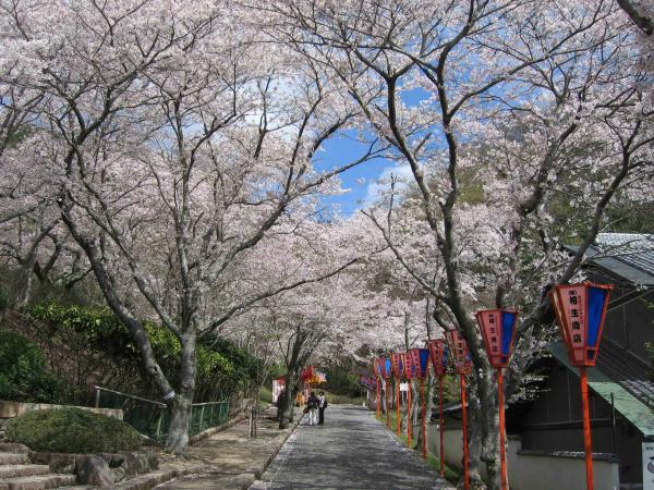 https://www.db.kansai-maas.jp/image/photos/6ec27bbc-52fe-4da1-911e-7df8573a153a.jpg