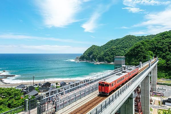 https://www.db.kansai-maas.jp/image/photos/6ee44824-f9e6-4476-822c-254cb6f7bf5e.jpg
