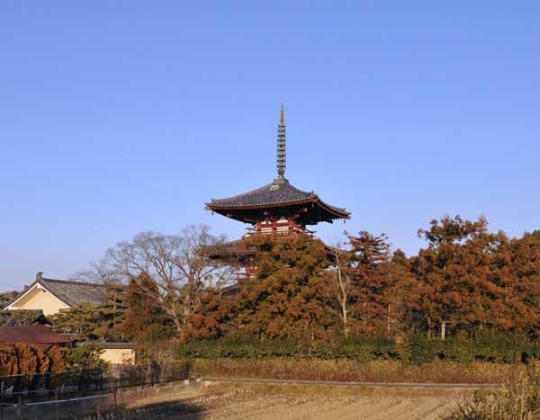 https://www.db.kansai-maas.jp/image/photos/6f0bf682-2d48-4eb0-adb8-fe7a6a526d4e.jpg