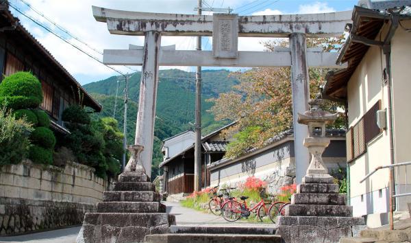 https://www.db.kansai-maas.jp/image/photos/6f79ad44-af5b-4391-8c4f-998edf5611b0.jpg