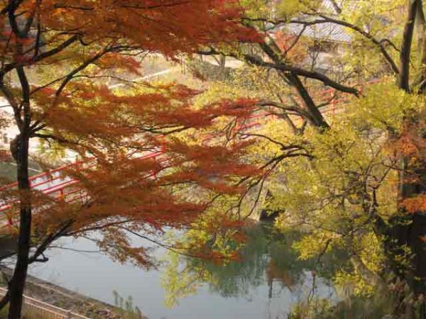https://www.db.kansai-maas.jp/image/photos/6fd13116-1cf5-4fc6-95c2-13b52c1b2c63.jpg