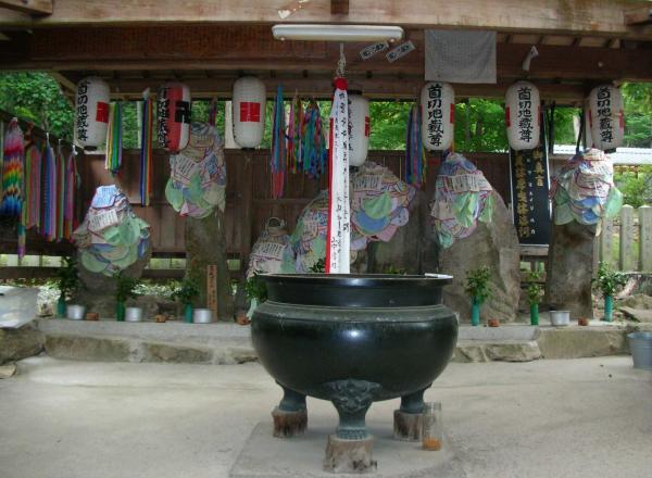 https://www.db.kansai-maas.jp/image/photos/70266a69-396b-432f-8a58-8fd9f387ae7b.jpg