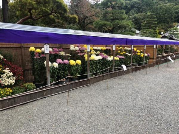 https://www.db.kansai-maas.jp/image/photos/705f4efb-bc3d-48c5-b66f-654ec857701c.jpg