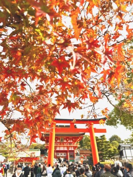 https://www.db.kansai-maas.jp/image/photos/7074373e-28f8-4352-8263-85d51fa9c5d9.jpg