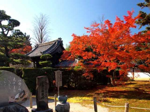 https://www.db.kansai-maas.jp/image/photos/70982563-a6ae-41b8-a312-e73d04a56476.jpg