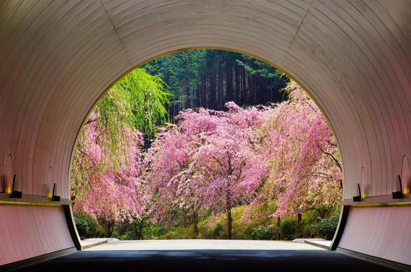 https://www.db.kansai-maas.jp/image/photos/70b7c082-2eb0-4c65-93af-45c1af4def40.jpg