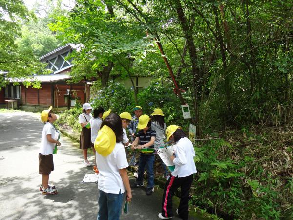 https://www.db.kansai-maas.jp/image/photos/70b97a70-0d39-4c87-8d76-1ceb3db085e3.jpg