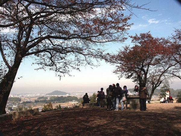 https://www.db.kansai-maas.jp/image/photos/70c8cd85-f459-4155-8a5c-035e97207708.jpg