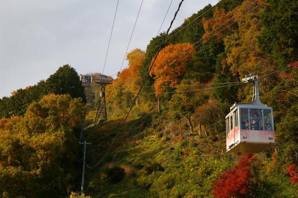 https://www.db.kansai-maas.jp/image/photos/70fddc4f-eb50-46bd-bff1-51a7b453128b.jpg