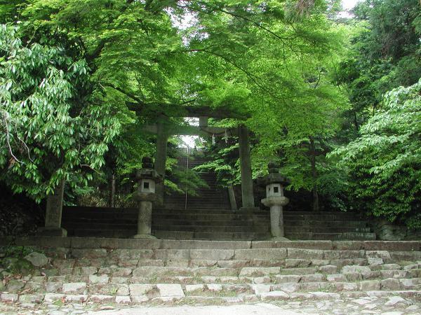 https://www.db.kansai-maas.jp/image/photos/715e28ad-d506-472a-9675-71ea3eb8895b.jpg