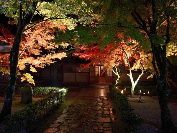https://www.db.kansai-maas.jp/image/photos/71acb55f-e94b-45f4-bc0a-f8c22917f271.jpg