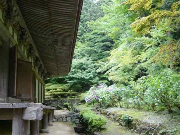 https://www.db.kansai-maas.jp/image/photos/71bc974d-0884-4368-8aff-d515e1db810d.jpg