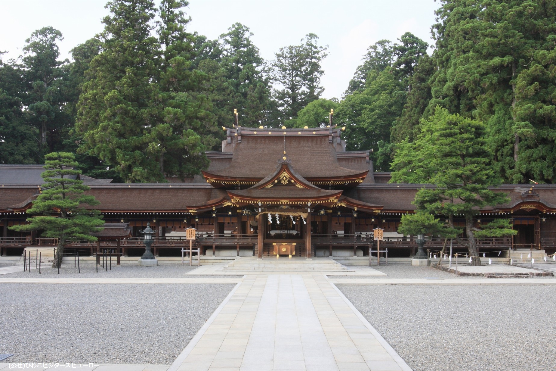 https://www.db.kansai-maas.jp/image/photos/729cd5e0-a00f-429f-91c3-bc345e420bf4.jpg