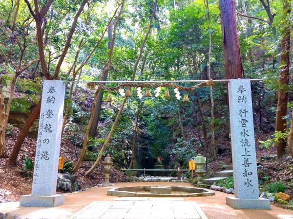 https://www.db.kansai-maas.jp/image/photos/72aa1d59-ea4e-409e-81ed-af7ba0f571ca.jpg