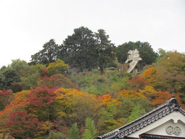 https://www.db.kansai-maas.jp/image/photos/7323f8cd-7236-4bf8-9312-95541e04e337.jpg