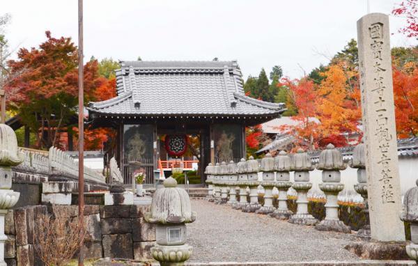 https://www.db.kansai-maas.jp/image/photos/734c66e0-7704-468e-a53a-25ab56e5fe26.jpg