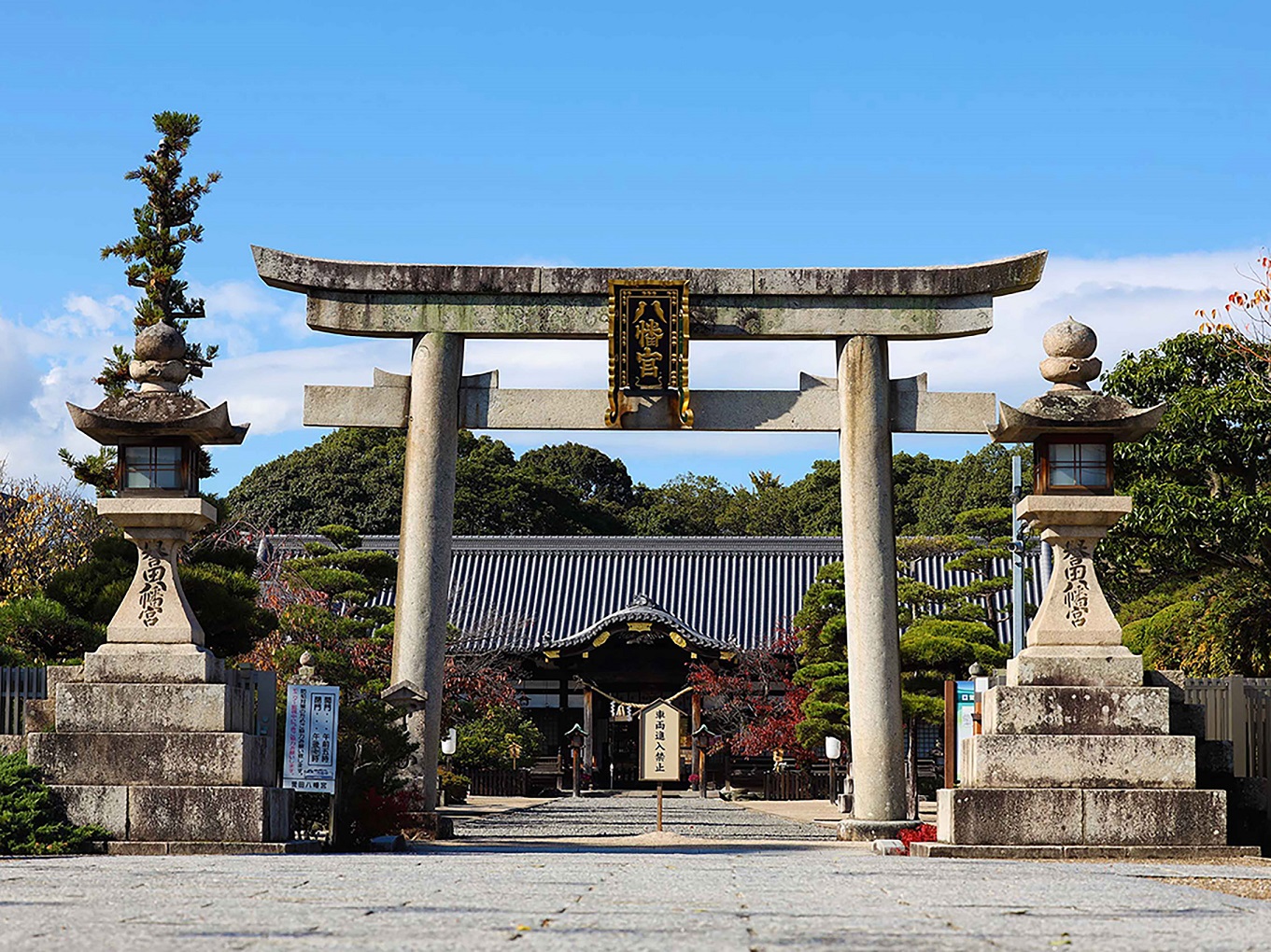 https://www.db.kansai-maas.jp/image/photos/735125d6-b3d5-4a80-b323-c0f61012386a.JPG