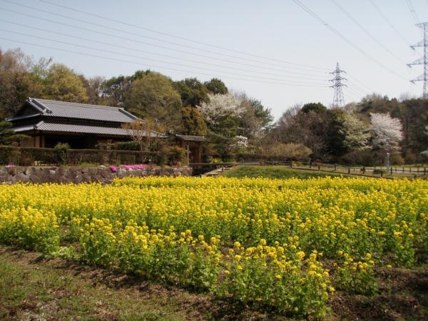 https://www.db.kansai-maas.jp/image/photos/73801d33-a262-4ed4-8258-2ec663d97ad3.jpg