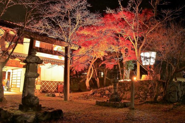 https://www.db.kansai-maas.jp/image/photos/73d2b34f-6ce9-47c4-b42a-ba66eb4fd3d3.jpg