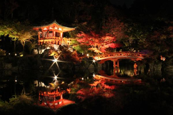 https://www.db.kansai-maas.jp/image/photos/73fcb74c-9fc9-45ba-b4ad-bf410d83b4eb.jpg