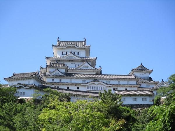 https://www.db.kansai-maas.jp/image/photos/7462bfc3-a57f-49ac-9522-2125b44b8a2a.jpg