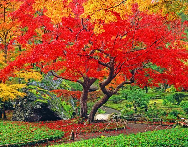 https://www.db.kansai-maas.jp/image/photos/749d9a10-9184-44cc-83df-1f8a88124e8e.jpg