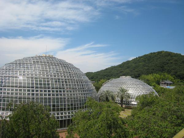 https://www.db.kansai-maas.jp/image/photos/75f50dbc-065c-4e35-96eb-33ee0d44571f.jpg