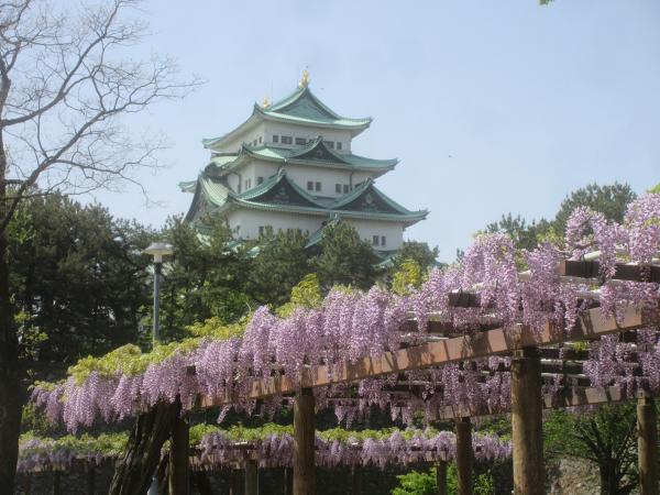 https://www.db.kansai-maas.jp/image/photos/7647a17e-8dcd-44ee-add2-6941dc1dd388.jpg