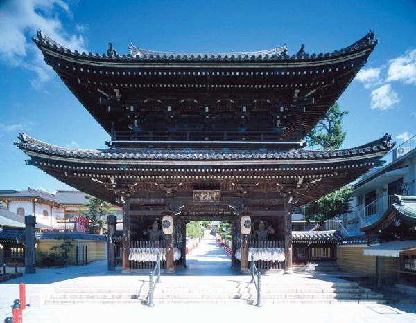 https://www.db.kansai-maas.jp/image/photos/7649b9ce-0b7f-432d-ab19-f33e39e74c53.jpg