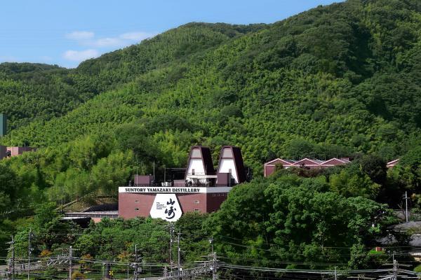 https://www.db.kansai-maas.jp/image/photos/76b7fc4b-12a7-40b0-b105-fa3370aa6625.jpg
