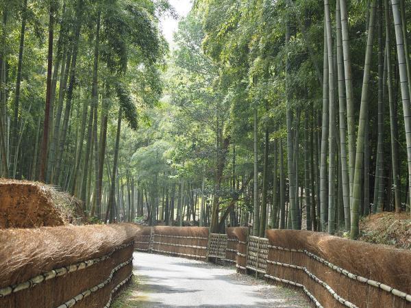 https://www.db.kansai-maas.jp/image/photos/7710381e-c6eb-4d96-abdb-5f9c844de19a.jpg