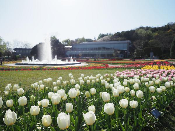 https://www.db.kansai-maas.jp/image/photos/77ae5e88-b83f-4a0f-b534-57748480dd92.jpg