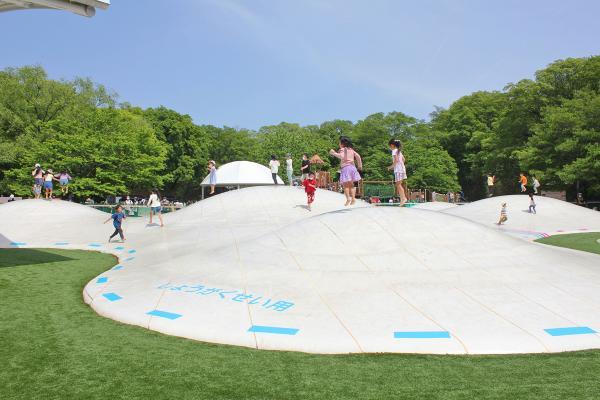 https://www.db.kansai-maas.jp/image/photos/77b313ef-d0e7-408d-a7fb-6f7ea6513ead.jpg