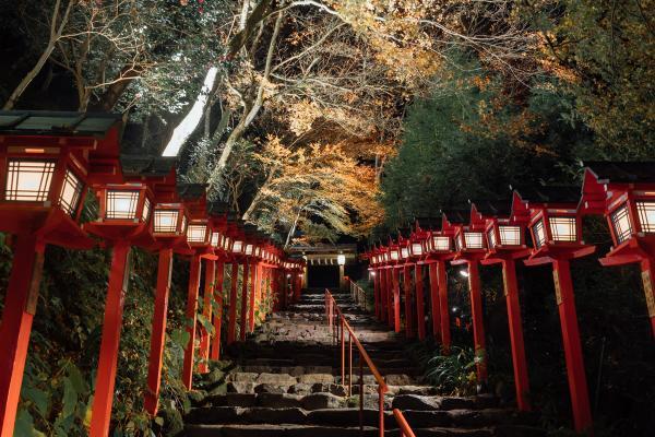 https://www.db.kansai-maas.jp/image/photos/77d14c90-a45d-40a2-ba1e-2731afc46270.jpg