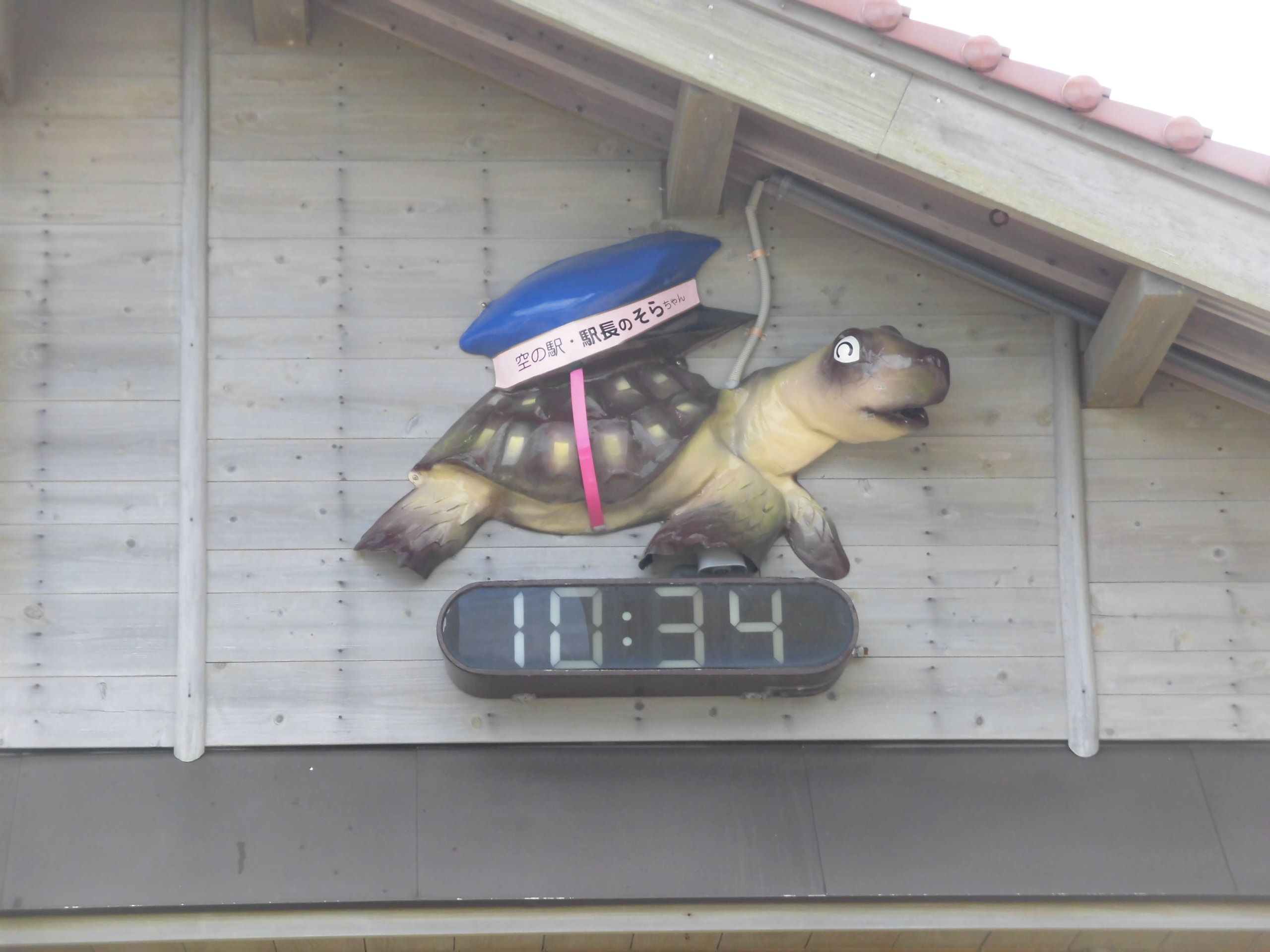 https://www.db.kansai-maas.jp/image/photos/792aafab-e0dd-43b3-a86a-a7ccd143f5c3.JPG