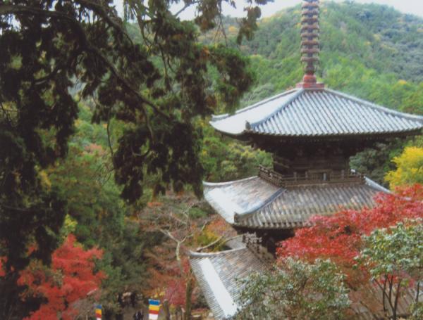 https://www.db.kansai-maas.jp/image/photos/79722c60-bf42-4f08-a678-08f07a98a768.jpg
