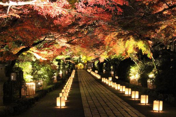 https://www.db.kansai-maas.jp/image/photos/79dc4867-137e-433f-bde6-9a32a0dc18d9.jpg