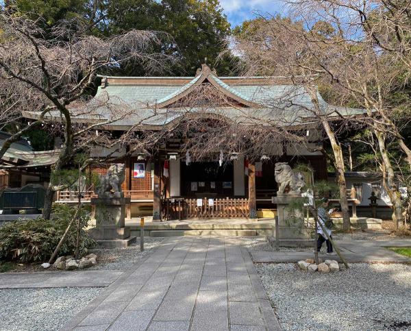 https://www.db.kansai-maas.jp/image/photos/7a464890-526f-458c-8fc4-8220c9afe9ad.jpg