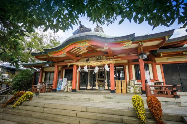 https://www.db.kansai-maas.jp/image/photos/7a68b75c-a460-47a0-b197-7c423b51e118.jpg