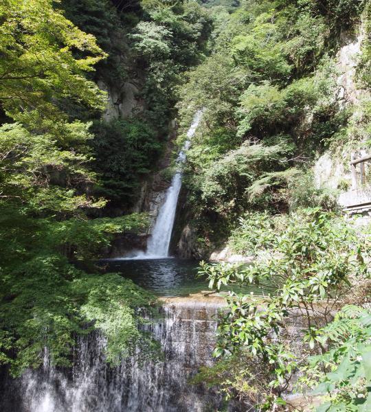 https://www.db.kansai-maas.jp/image/photos/7ae00860-e893-404f-8640-09f1cd1b0f8b.jpg